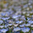 心筋梗塞とは？　2016年1月29日